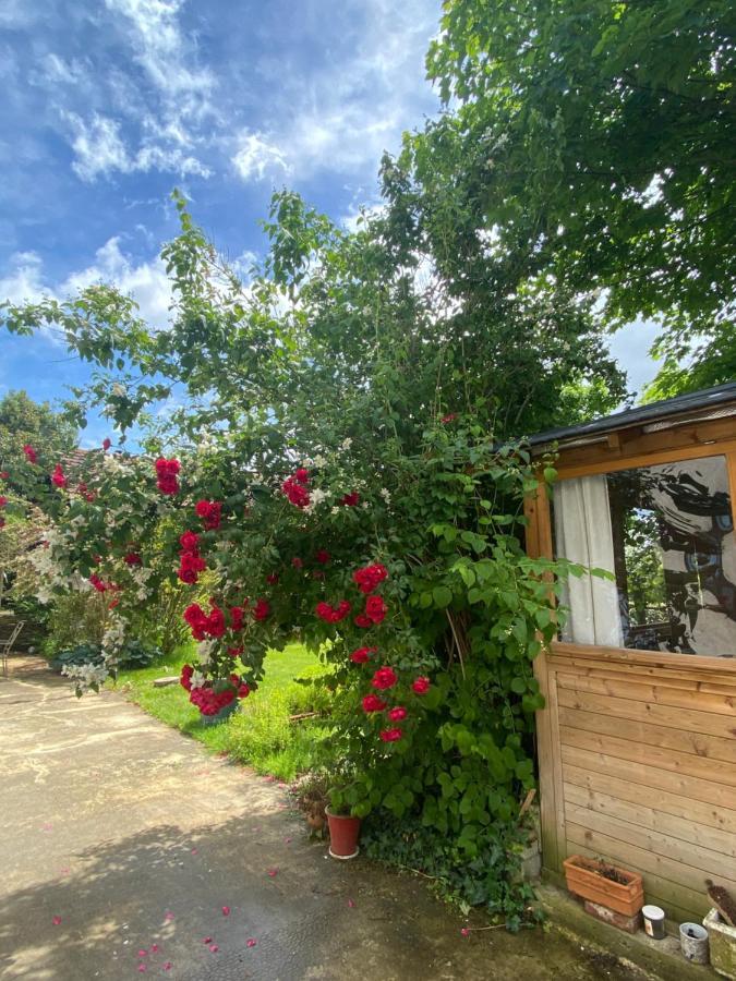 Les Bergeronnettes - Chambres D'Hotes Bergerac Exterior photo