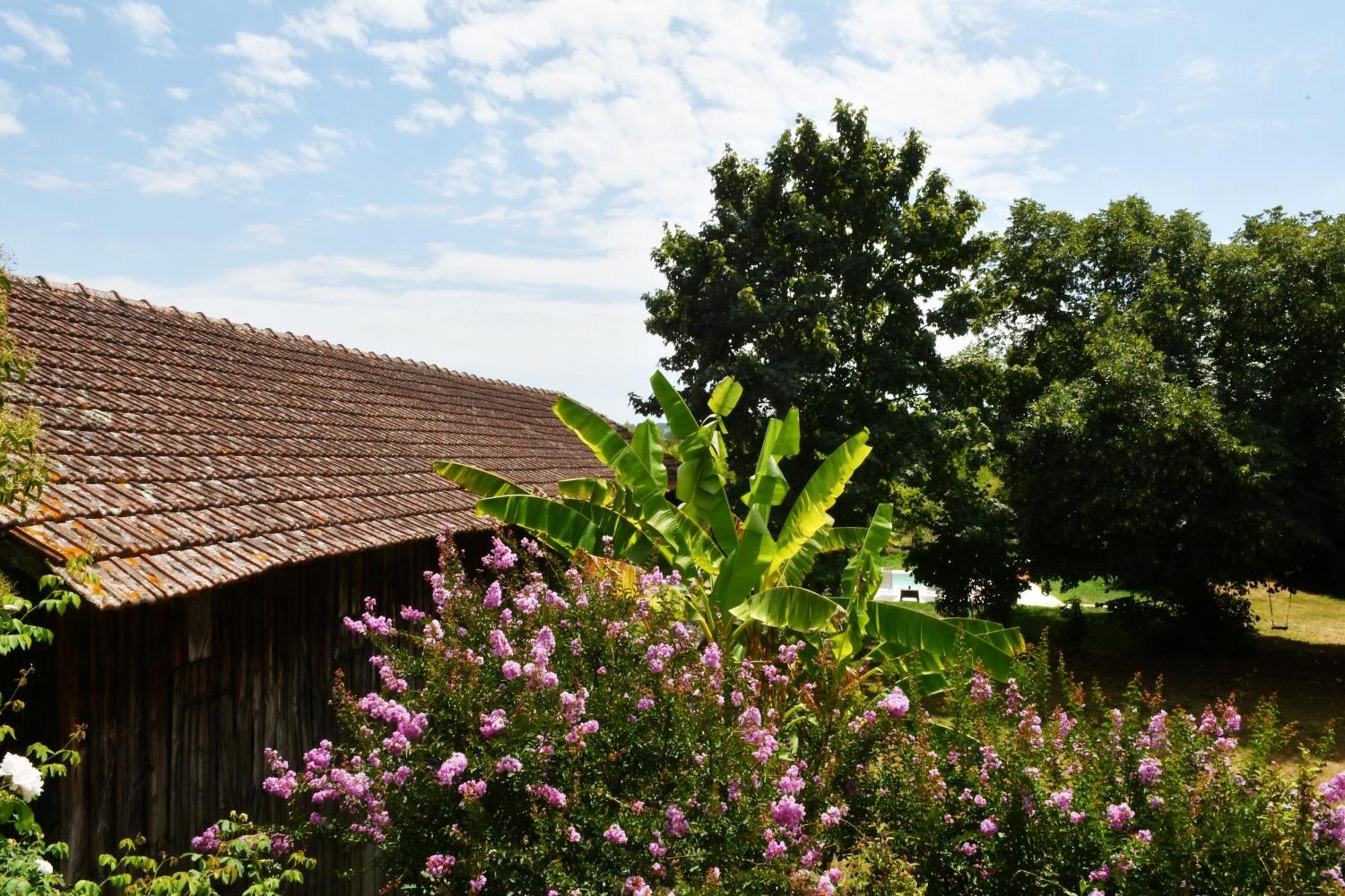Les Bergeronnettes - Chambres D'Hotes Bergerac Exterior photo